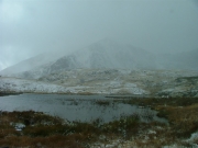 beaver_dam_part_1