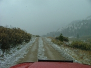 into_the_snow