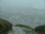 lots_of_snow