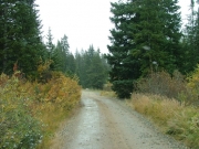 mellow_trail