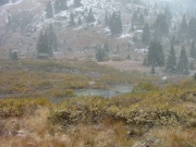 ponds
