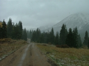 snowing