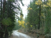 start_of_the_trail