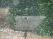 warden_gulch_sign