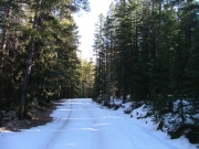 little_snow