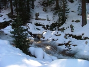 peru_creek_part_2