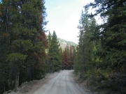 early_trail