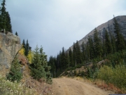 foggy_ahead
