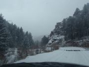 cattle_guard