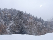 snow_on_trees_part_1