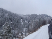 snow_on_trees_part_2