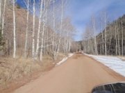 aspens