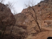 trail_part_3