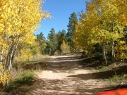 aspens_part_1