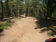 bumpy
