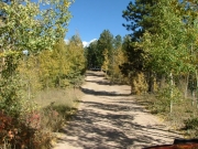 early_trail