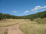 manchester_creek_open_area
