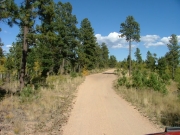 mellow_trail