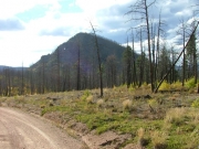 signal_butte