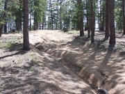 crack_in_the_trail