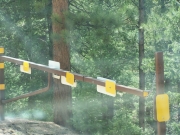 seasonal_gate