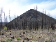 signal_butte