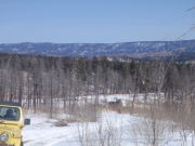 in_scenery