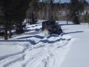 jeffrey_on_the_trail