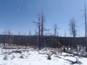 pikes_peak