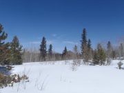 snow