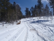 trail_part_1