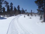 trail_part_2
