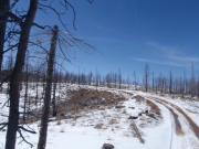trail_part_3
