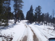 trail_part_4