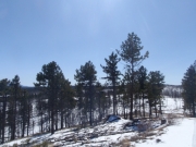 trail_part_5