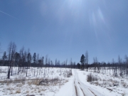 trail_part_6