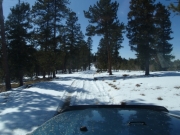 trail_part_9