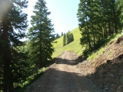 early_trail
