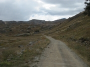 desolate_trail