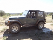 bob_on_the_trail