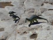 dinosaurs