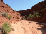 approaching_50-50_part_1