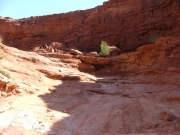 approaching_50-50_part_2