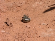 don_trail_damage_part_2