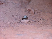 don_trail_damage_part_3