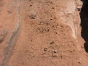 don_trail_damage_part_4