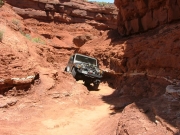 walt_in_the_pickle_part_1