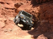 walt_in_the_pickle_part_3