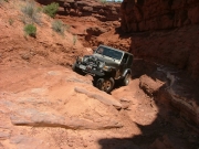 walt_in_the_pickle_part_5