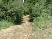 at_the_start_of_the_trail